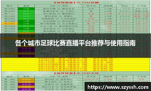 各个城市足球比赛直播平台推荐与使用指南